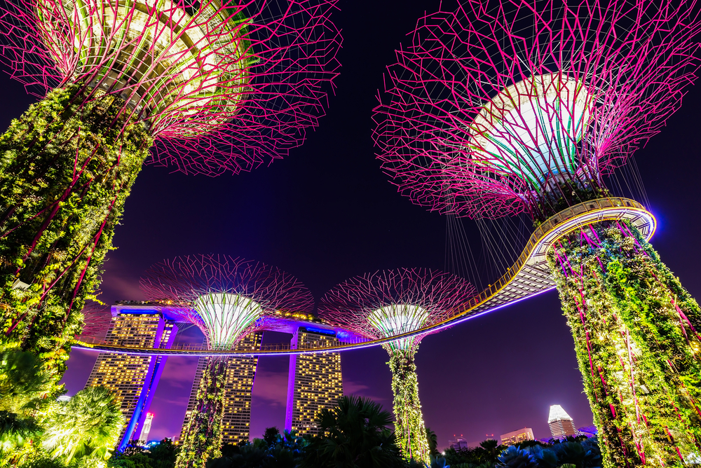 SINGAPORE - January 11 2018: Supertree Grove forest illuminated at night. Gardens by the Bay, Singapore city